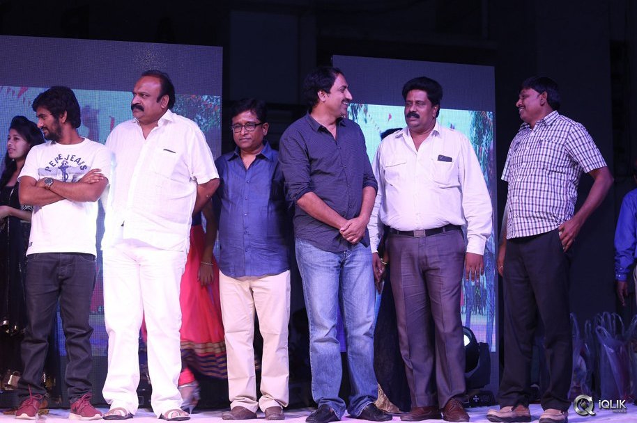 Seethamma-Andaalu-Raamayya-Sithraalu-Platinum-Disc-Function